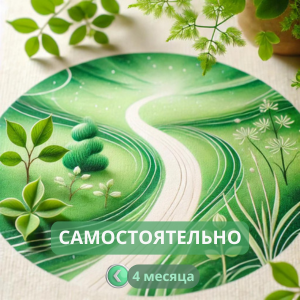 Вариант подписки Самостоятельно