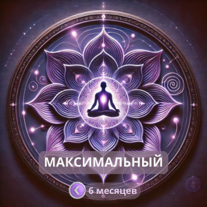 Вариант подписки Максимальный